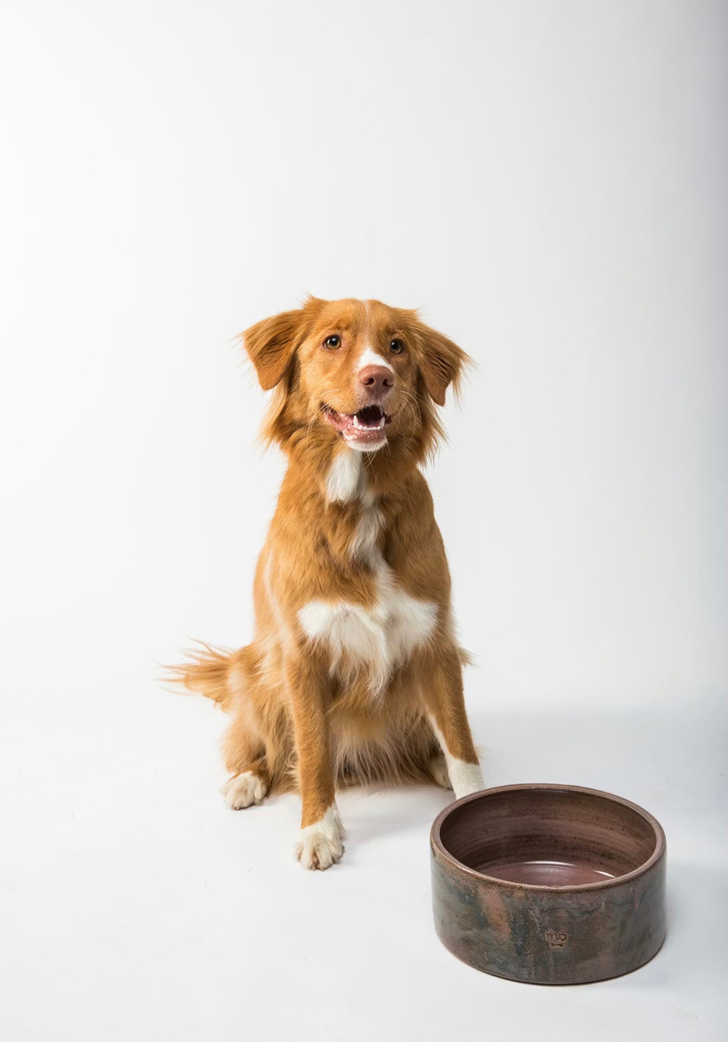 Luxury Ceramic Pet Bowls | VELOUR — Marble Stoneware Set