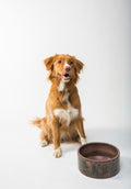 Luxury Ceramic Pet Bowls | VELOUR — Marble Stoneware Set