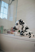 Organic Pet Grooming Set | VELOUR — Natural Shampoo & Coat Oil